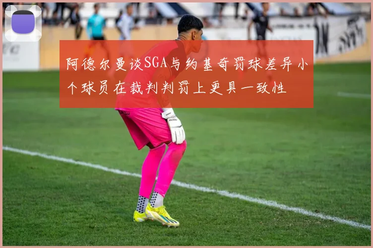 阿德尔曼谈SGA与约基奇罚球差异小个球员在裁判判罚上更具一致性