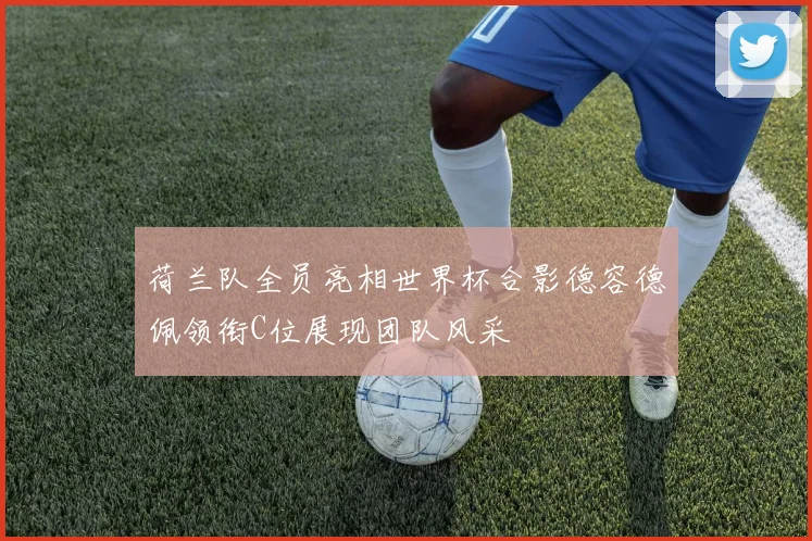 荷兰队全员亮相世界杯合影德容德佩领衔C位展现团队风采