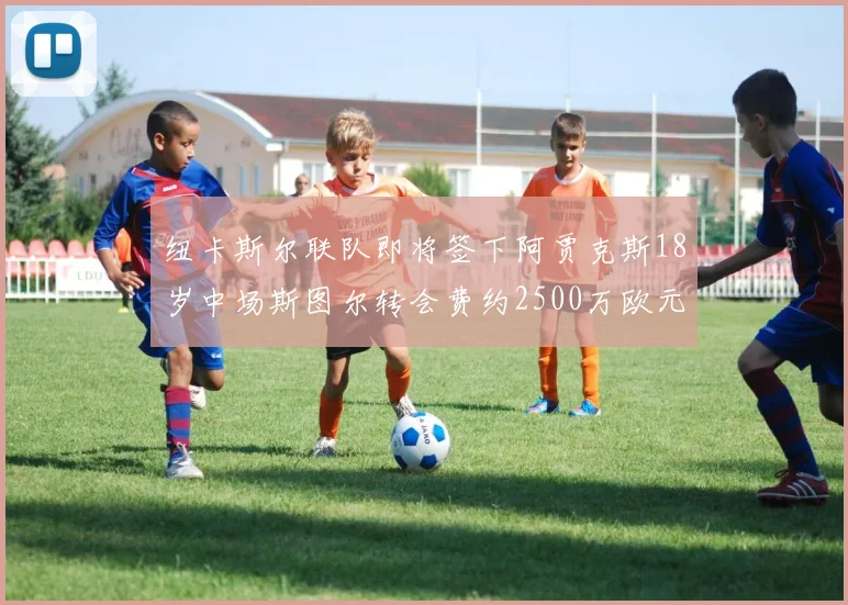 纽卡斯尔联队即将签下阿贾克斯18岁中场斯图尔转会费约2500万欧元