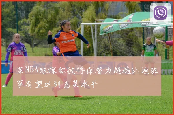 某NBA球探称彼得森潜力超越比迪班萨有望达到克莱水平
